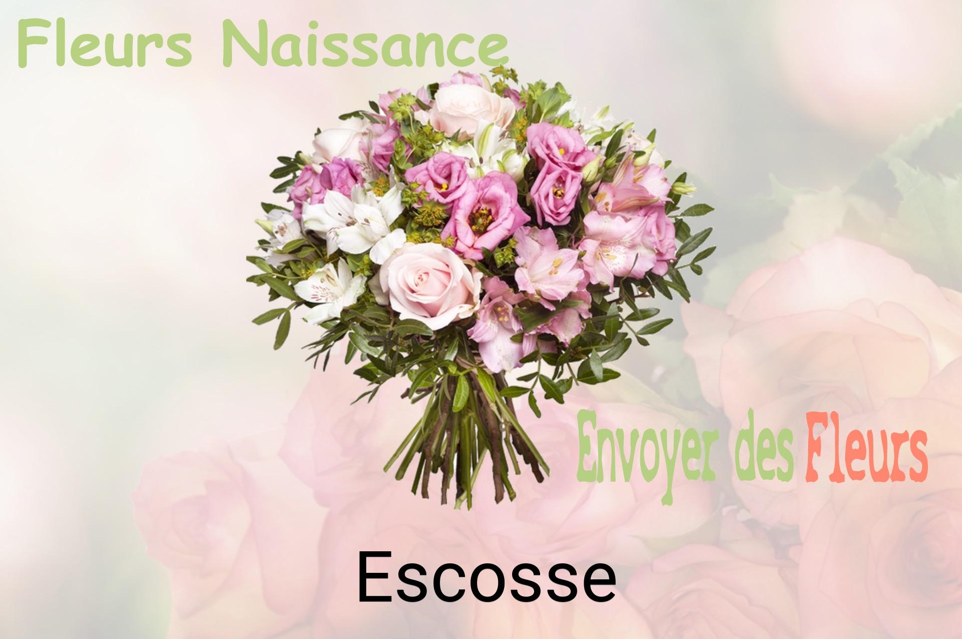 Bouquet de fleurs de naissance livré à Escosse